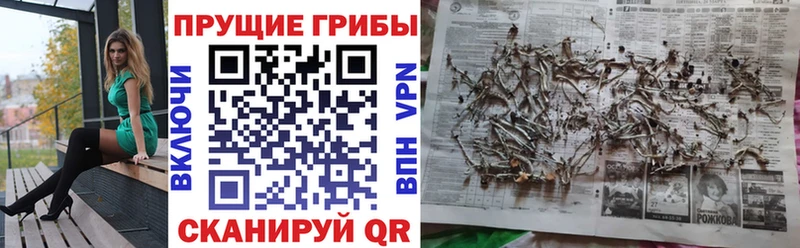 сайты даркнета формула  Окуловка  Галлюциногенные грибы прущие грибы 